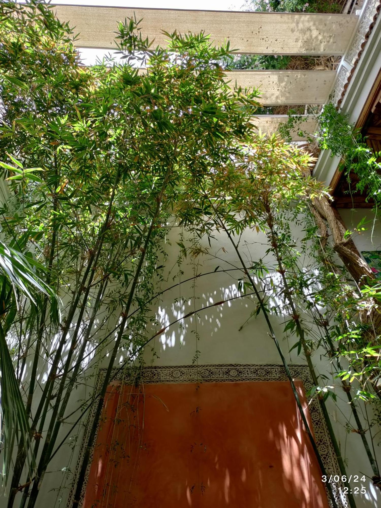 Made In Berbere Apartamento Marraquexe Exterior foto